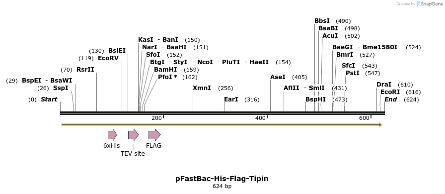 28675_map