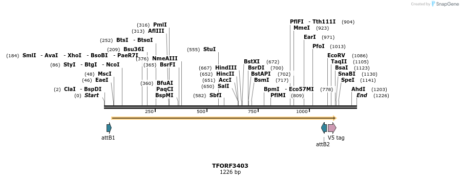 286752_map