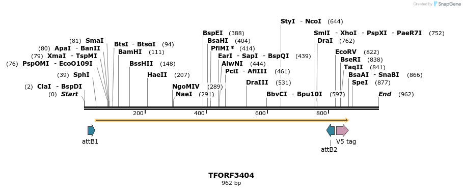 286755_map