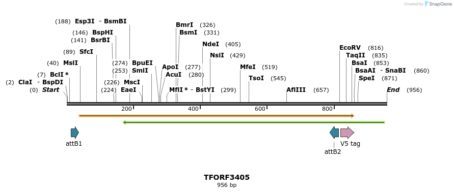 286758_map