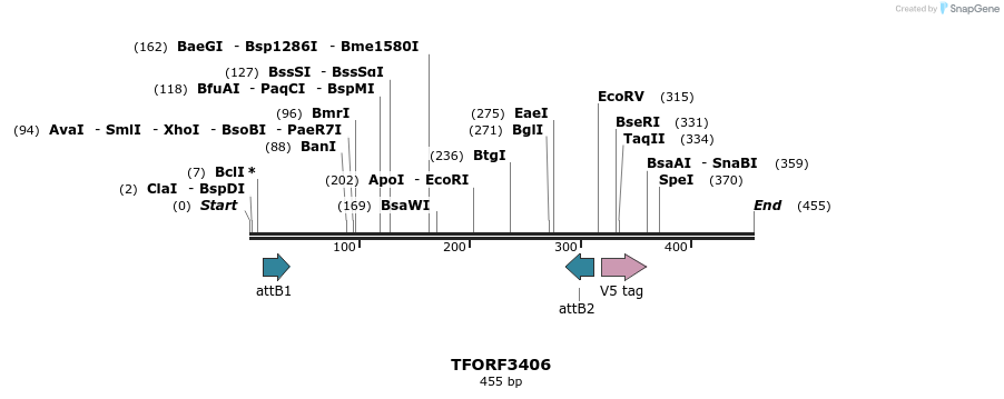 286761_map