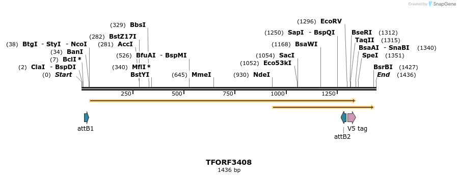 286767_map