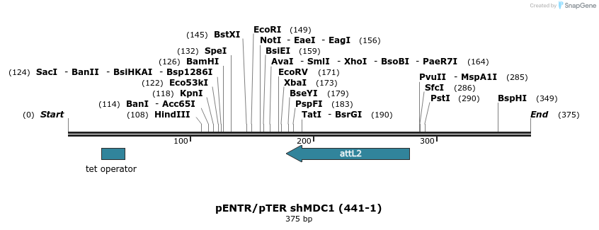 28677_map