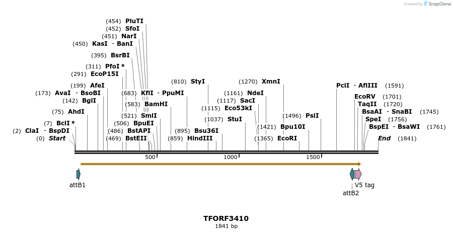 286773_map