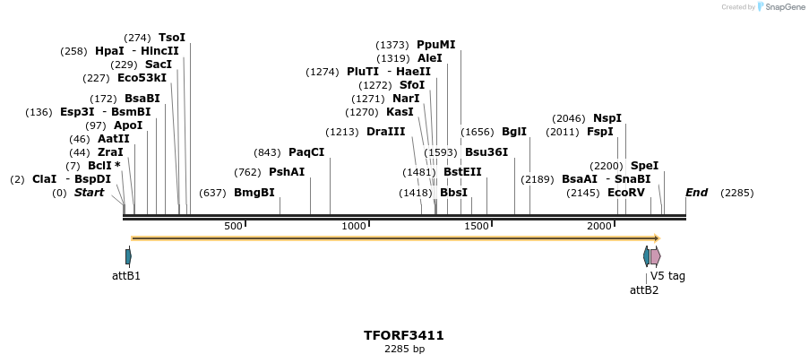 286776_map