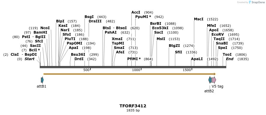 286779_map