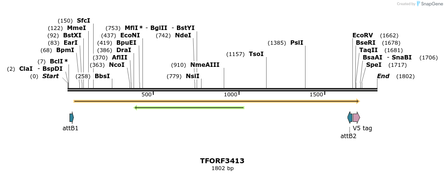 286782_map