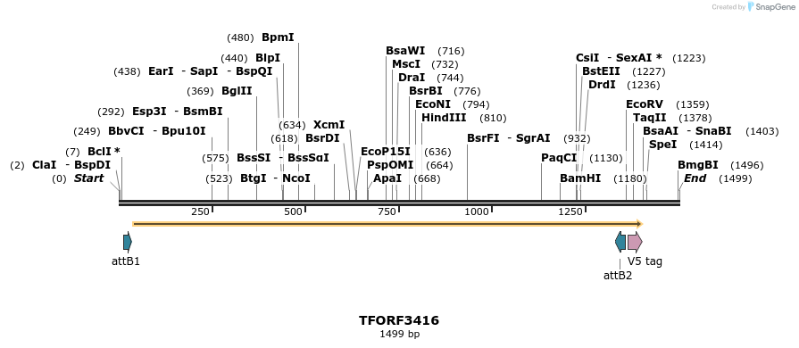 286791_map
