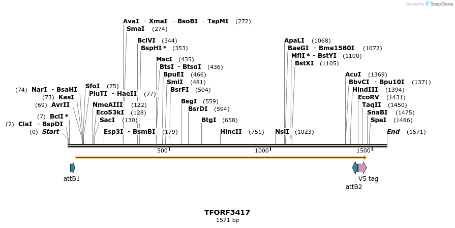 286794_map