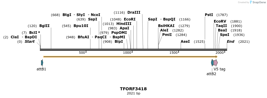 286797_map
