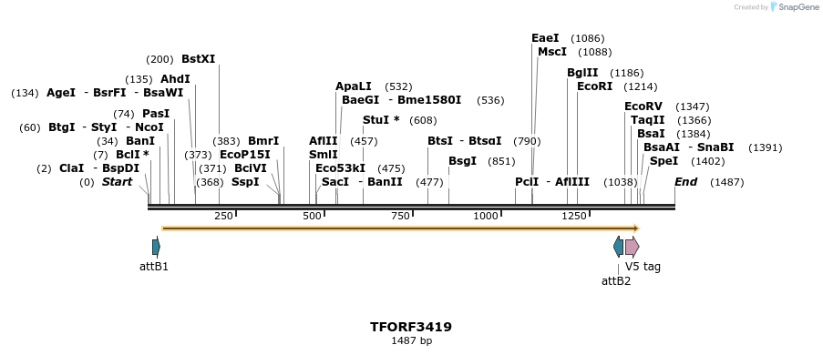 286800_map