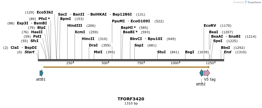 286803_map