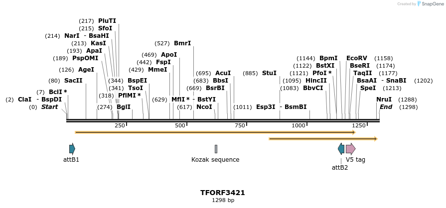 286806_map