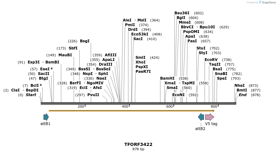 286809_map