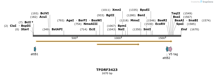286812_map