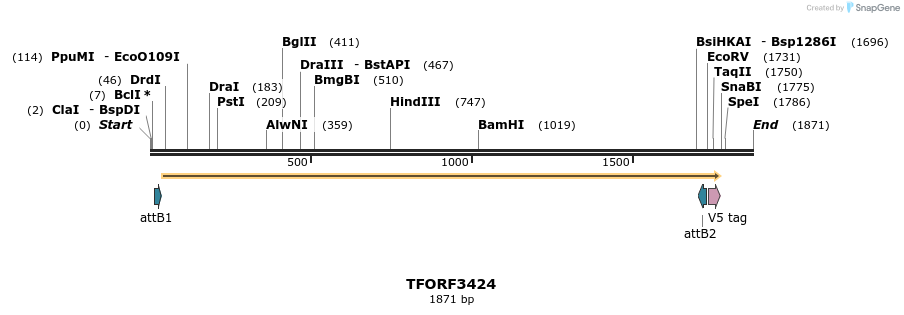 286815_map