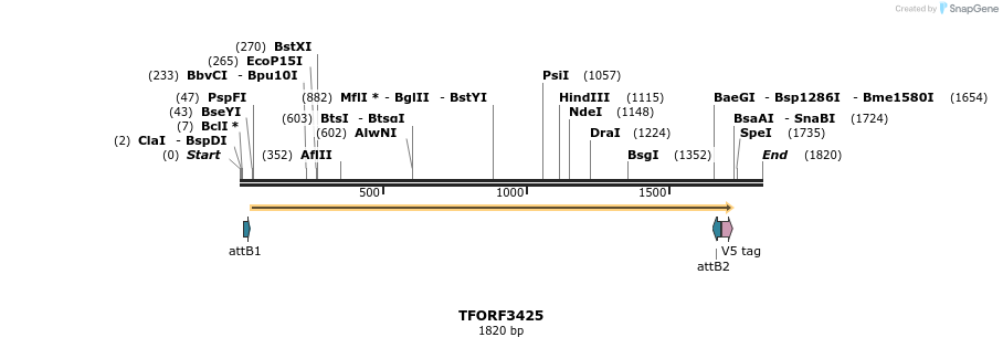 286818_map