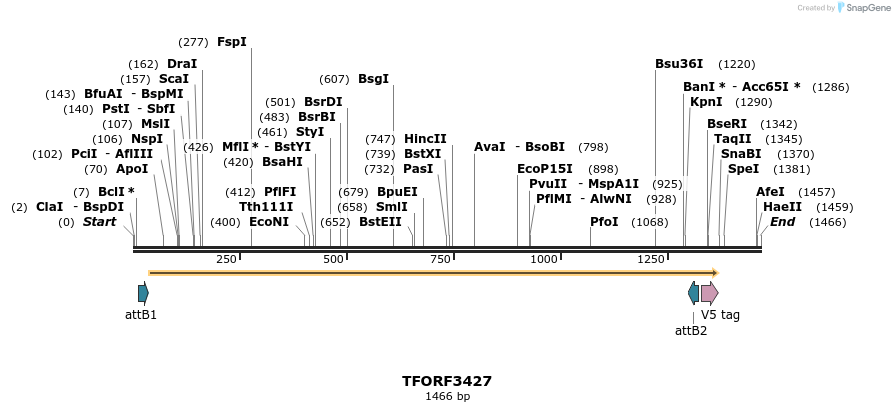 286824_map