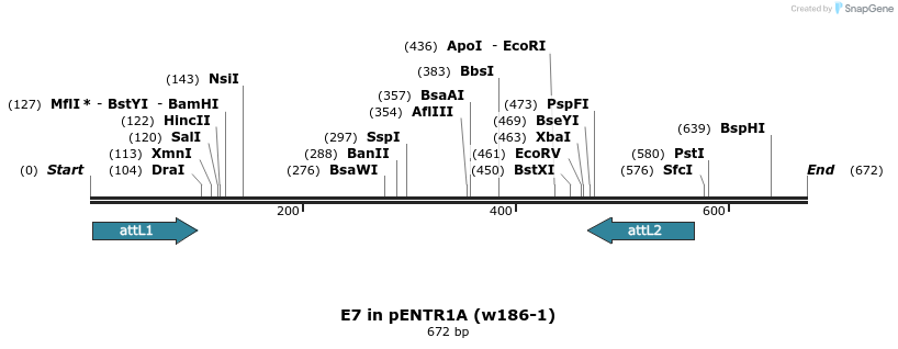 28683_map