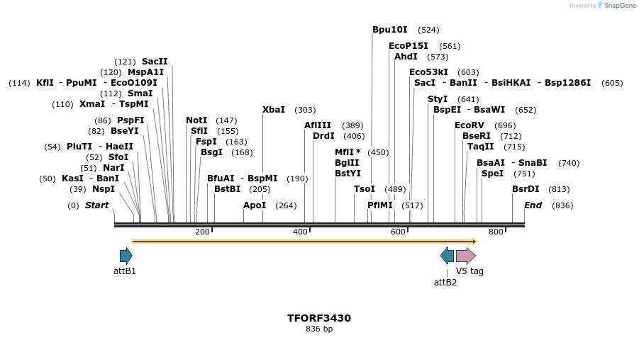 286833_map