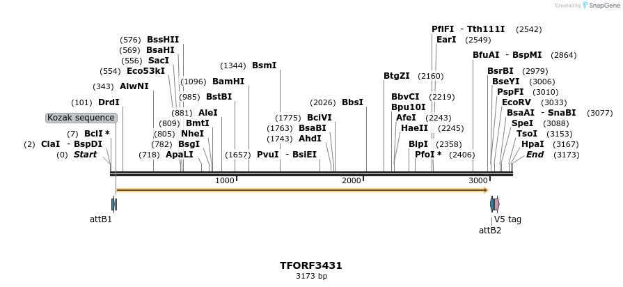 286836_map