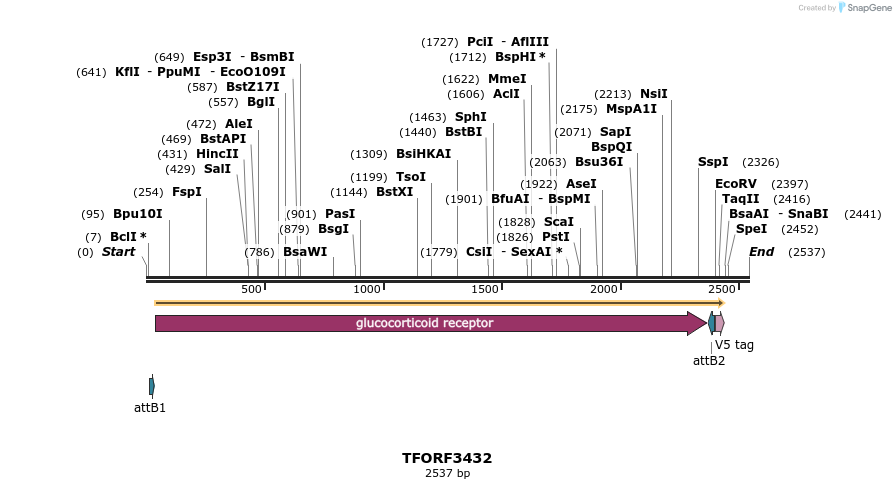 286839_map