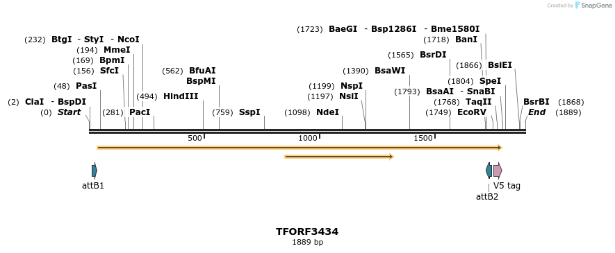286845_map