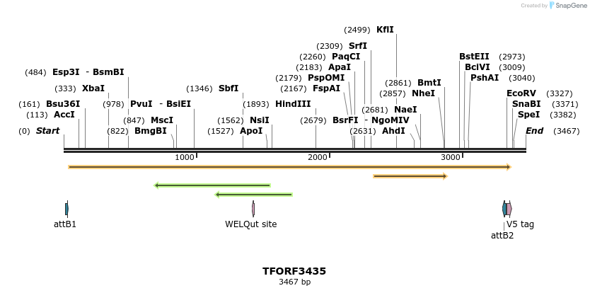 286848_map