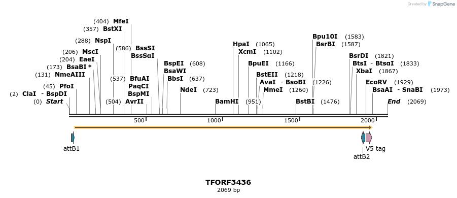 286851_map