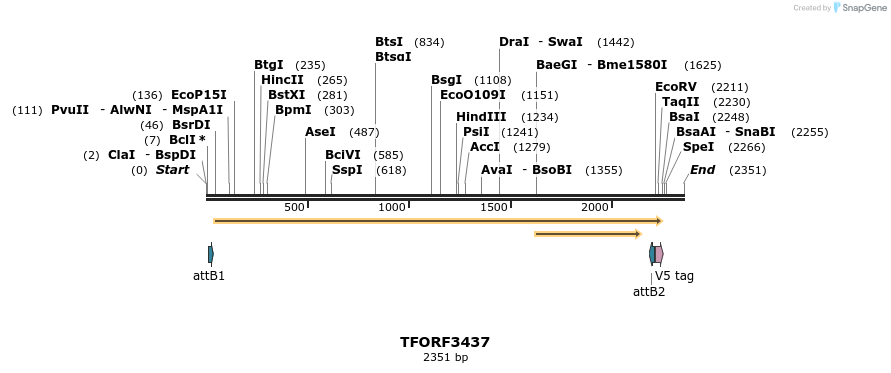 286854_map