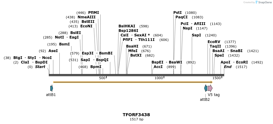 286857_map