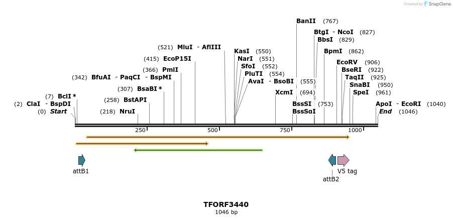 286863_map