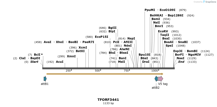 286866_map