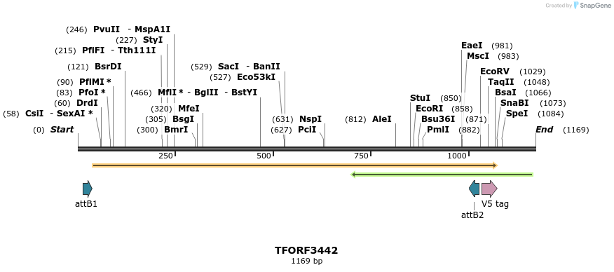 286869_map