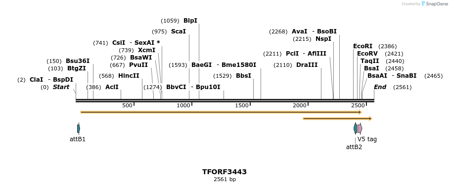 286872_map