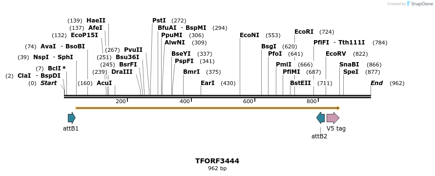286875_map