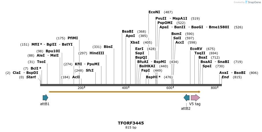 286878_map