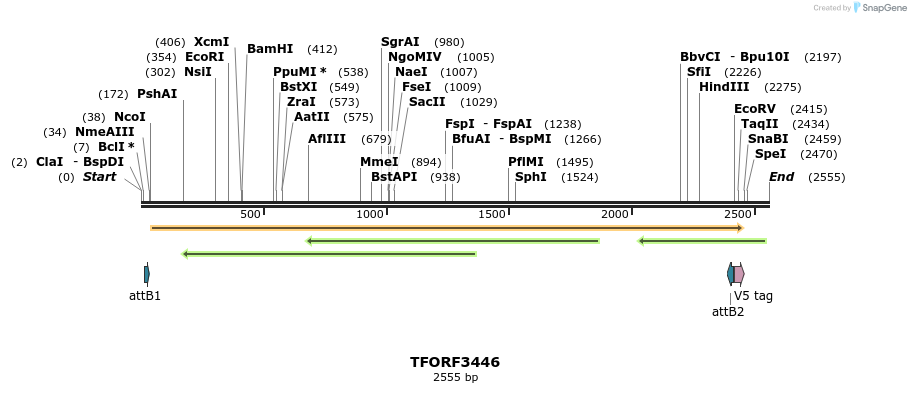 286881_map