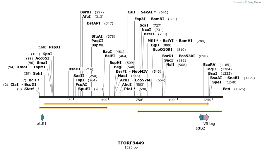286890_map