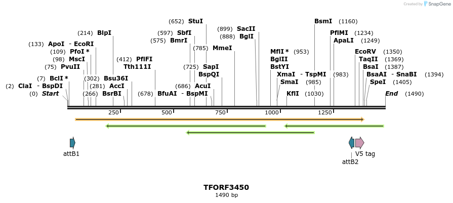 286893_map