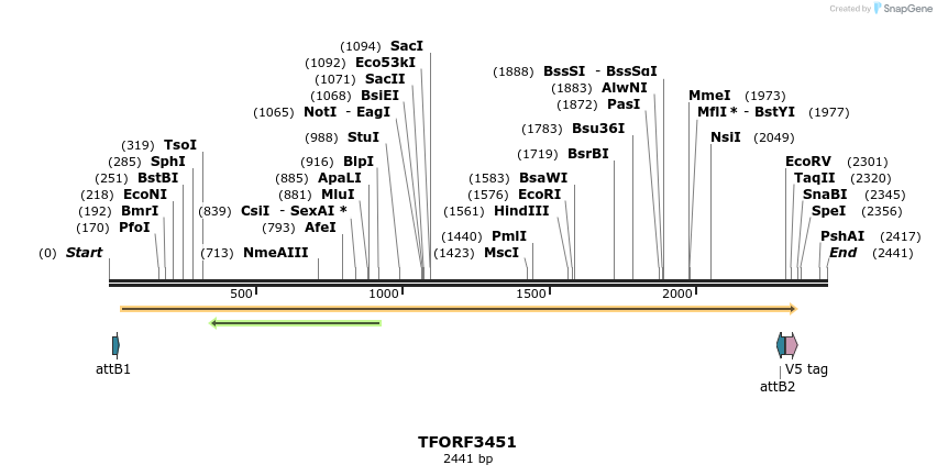286896_map