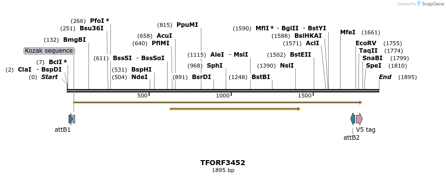 286899_map