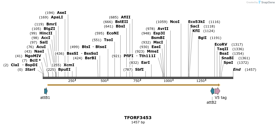 286902_map