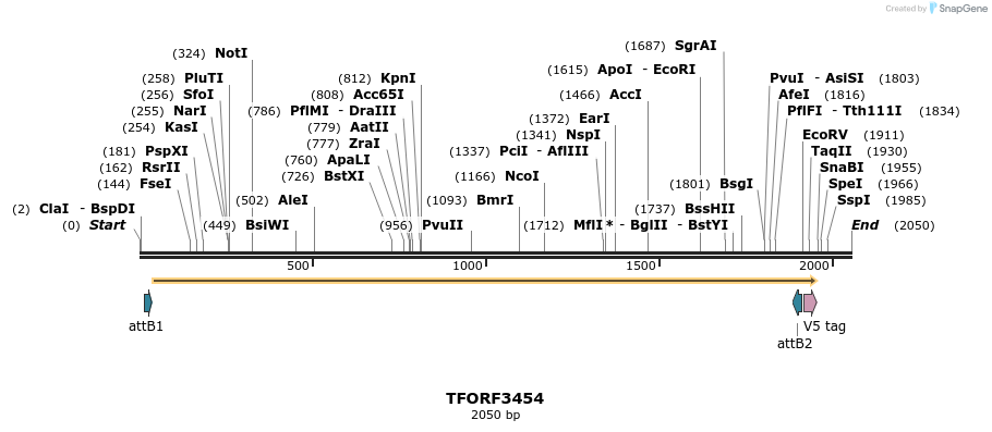 286905_map