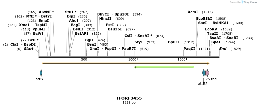 286908_map
