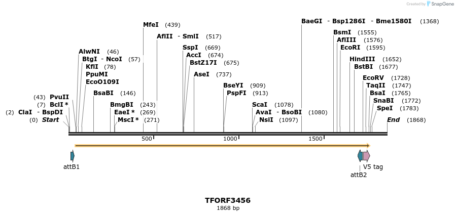 286911_map