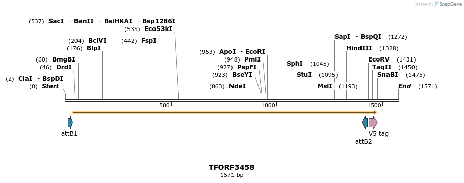 286917_map