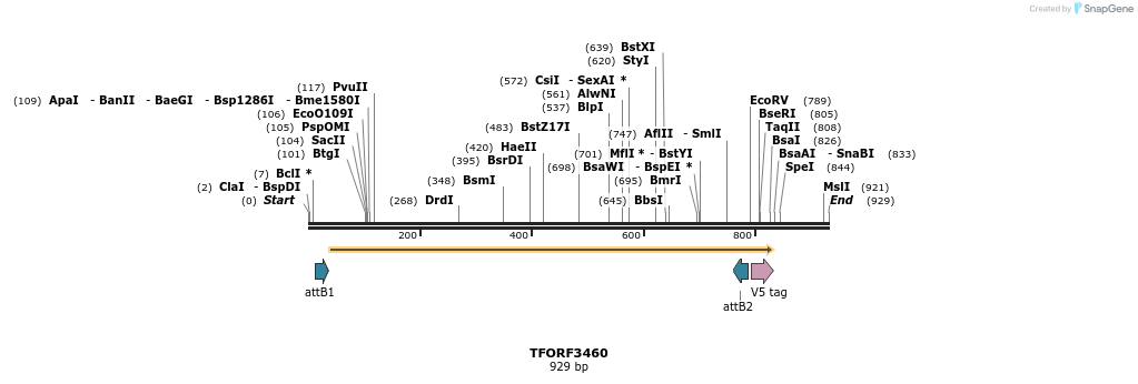 286923_map