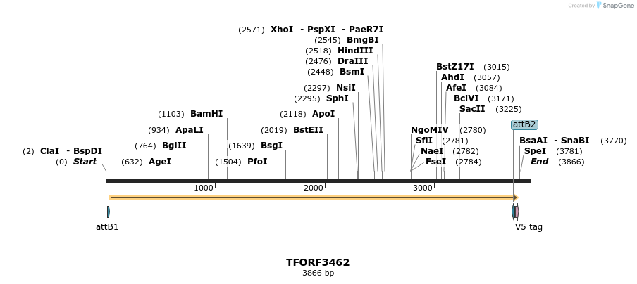 286929_map