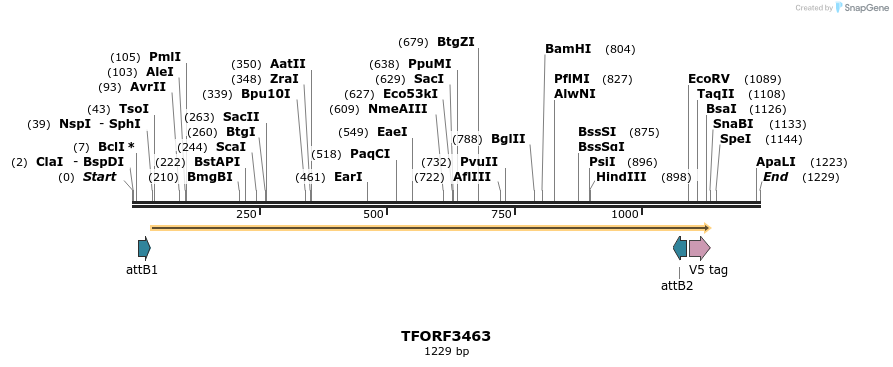 286932_map